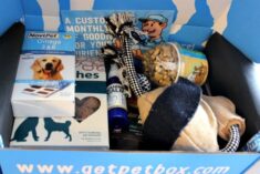 PetBox Subscription Boxes for Happy Dogs
