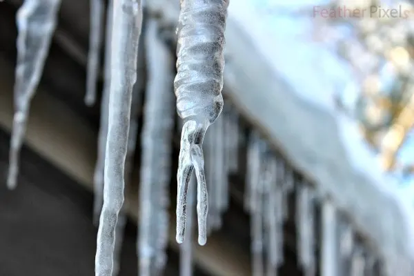 Cool Icicles of the Polar Vortex