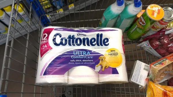 Help Prevent a UTI with Cottonelle #CtnlCareRoutine