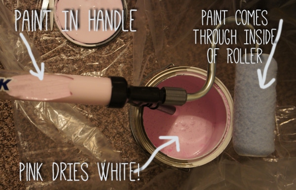Painting Made Easy with PaintStick Mini