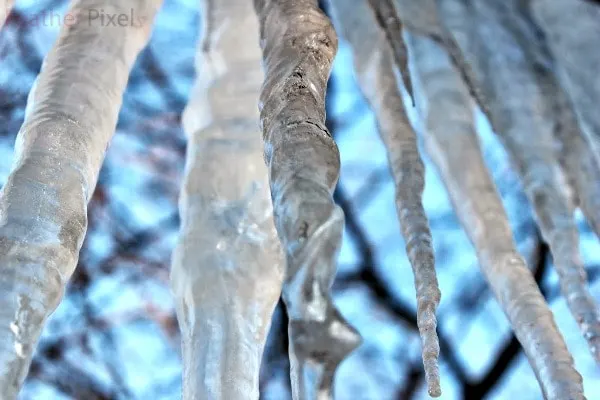 Cool Icicles of the Polar Vortex