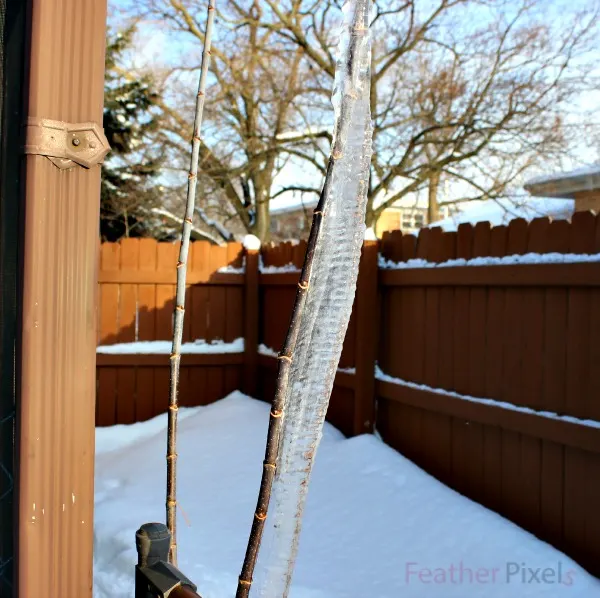 Cool Icicles of the Polar Vortex