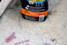 Biz Challenge with Grape Juice Stain