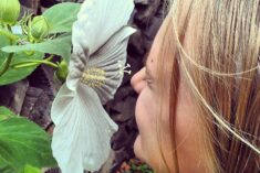 Grandma's Garden