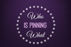 How to Track Who is Pinning What from Your Site