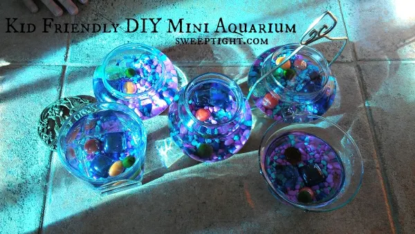 DIY Mini Aquariums for office desk or kids room - fun and educational activities for kids