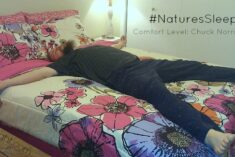 Comfort beyond your wildest dreams #NaturesSleep #sponsored