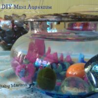 DIY Mini Aquarium for kids