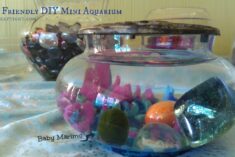 DIY Mini Aquarium for kids