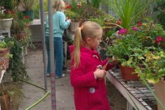 family fun in the greenhouse