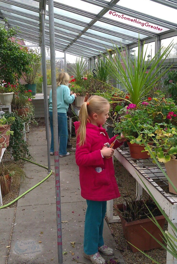 family fun in the greenhouse