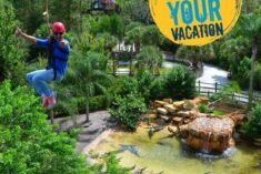 Zipline through Gatorland! #RockYourVacation