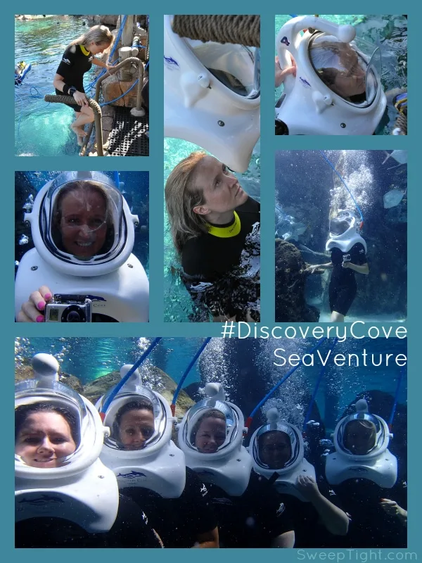 Walk around underwater SeaVenture at #DiscoveryCove Orlando #RockYourVacation
