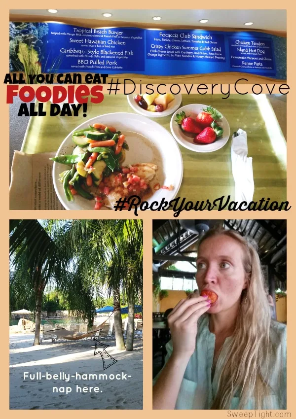 Food at #DiscoveryCove all inclusive #RockYourVacation