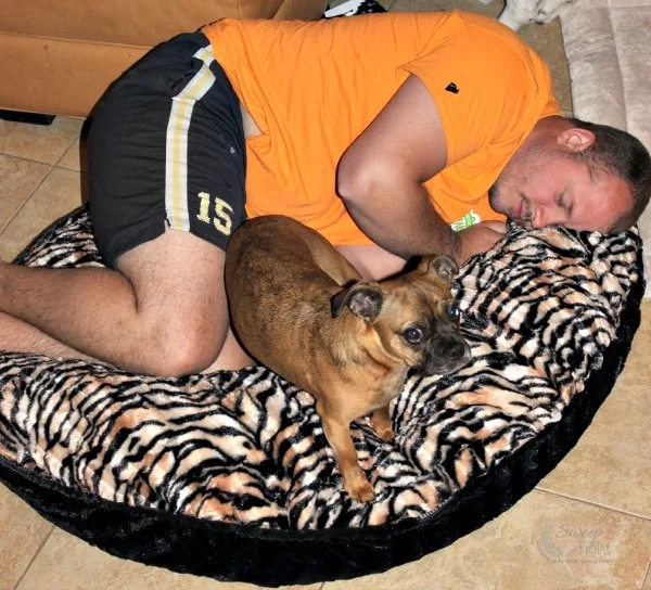 Mike and The Grump on a dog bed. 