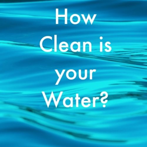 Clean Up Your Water with Adya Clarity | A Magical Mess