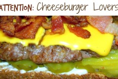 cheeseburger lovers
