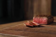 Outback Family Moments and 10% off Coupon