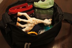 Small Diaper Bag with Lots of Space