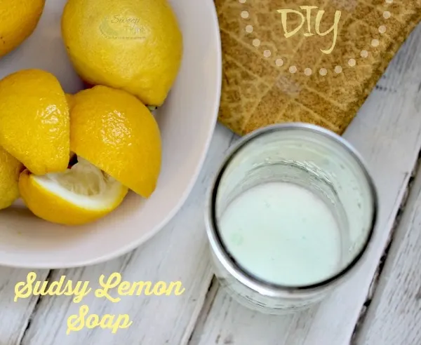 DIY Sudsy Lemon Soap Recipe and Palmolive Sweepstakes