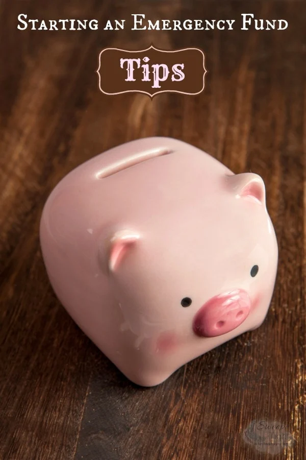 Pink Piggy bank