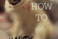 How to Handle Nasty Blog Comments