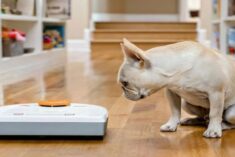 When Pet Shedding Takes Over #NeatoBestPetVacuum