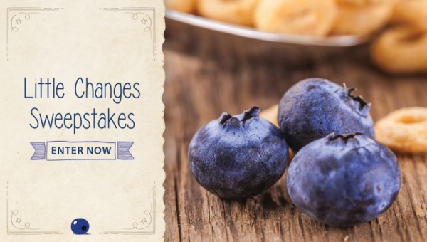 Sweepstakes #LittleChanges for the New Year