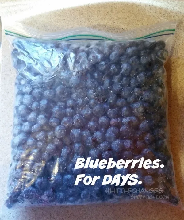 Freeze your blueberries! #LittleChanges #IC #sponsored