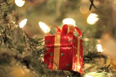 DSLR Pictures of the Christmas tree