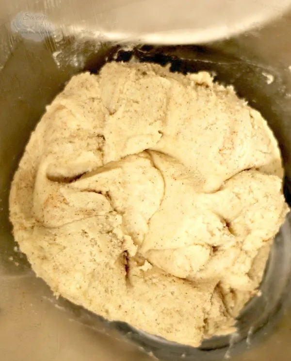 Snickerdoodle Cookie Dough