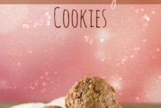Oatmeal Pudding Cookies Recipe