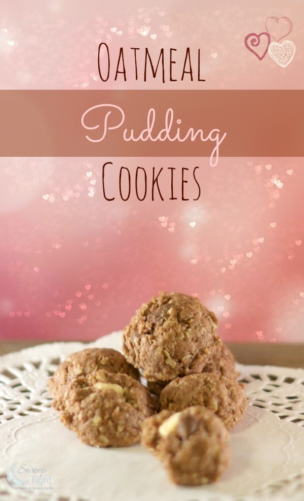 Oatmeal Pudding Cookies Recipe