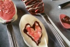DIY Valentine's Day Chocolate Dipped spoons with printable gift tags