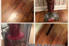 Extra Clean with the BISSELL Symphony