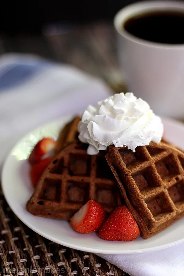 Chocolate Yogurt Waffles