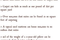 Deep Cleaning to Reduce Allergens