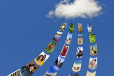 Data Storage and Backup - Keep it Secret. Keep it Safe.