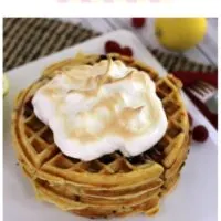 Over 20 Waffle Recipes for Waffle Day