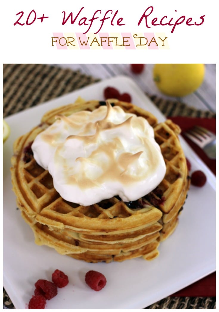 Over 20 Waffle Recipes for Waffle Day
