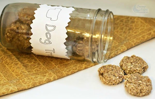 Oatmeal Banana Homemade Dog Treats Recipe