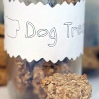 Oatmeal Banana Homemade Dog Treats Recipe