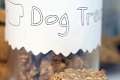 Oatmeal Banana Homemade Dog Treats Recipe