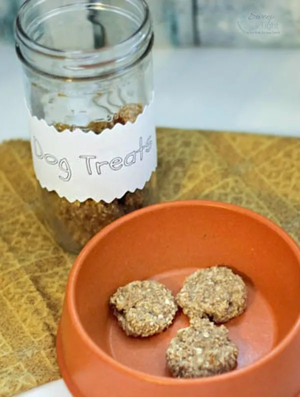 this is my go-to dog treat recipe! 🐶🦴 1 squishy banana 🍌 1/2 cup pe, Dog  Treat Recipes