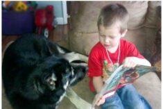 Encourage kids to Read to Pets