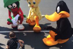40th Season Celebration at Six Flags Great America