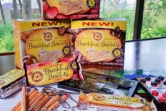 Honey Bunches of Oats Breakfast Biscuits make great family road trip snacks AD
