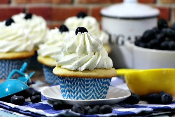 Blueberry cupcakes. 