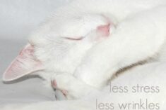 Sleeping through the night has infinite benefits for your mind, body, and soul #IC #ad