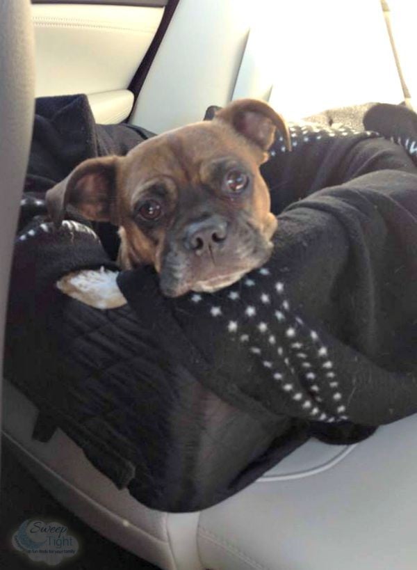 Grump in his carseat going to see Grama